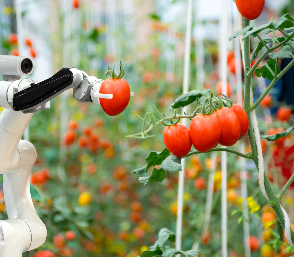 fruit picking robots